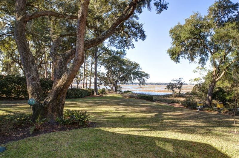 Bushes Clearing in Marietta, GA