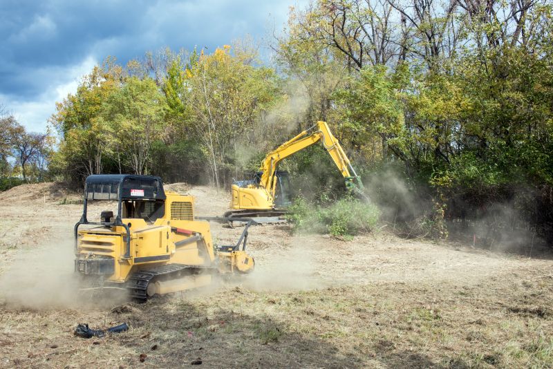 Slope Clearing in Cumming, GA